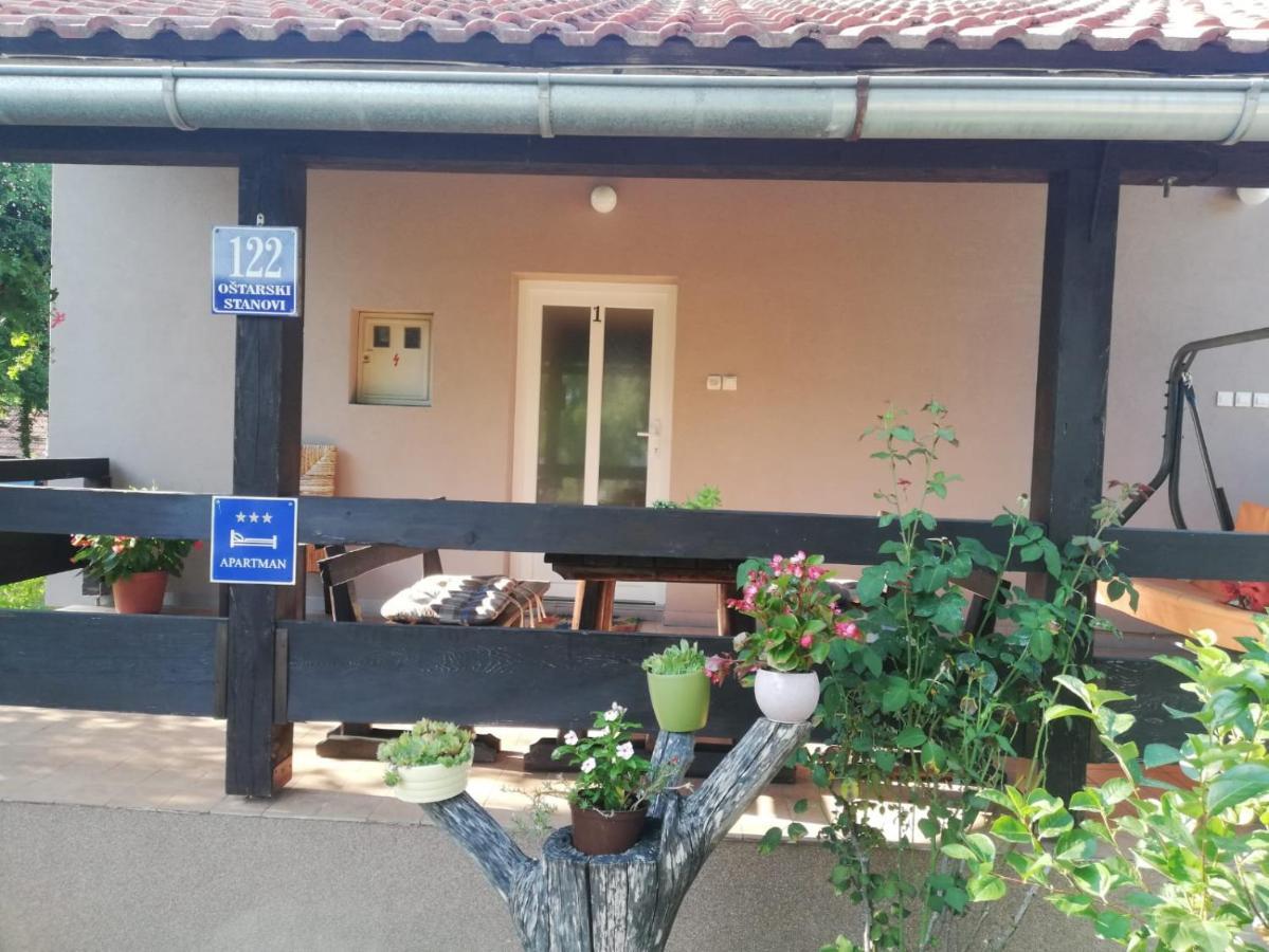Apartman Adam Rakovica Dış mekan fotoğraf