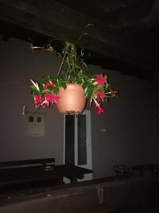 Apartman Adam Rakovica Dış mekan fotoğraf