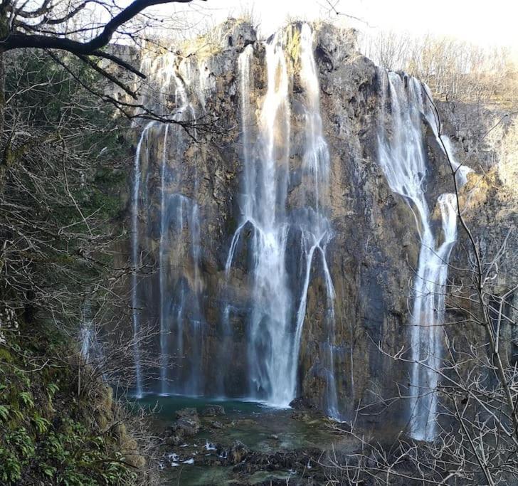 Apartman Adam Rakovica Dış mekan fotoğraf
