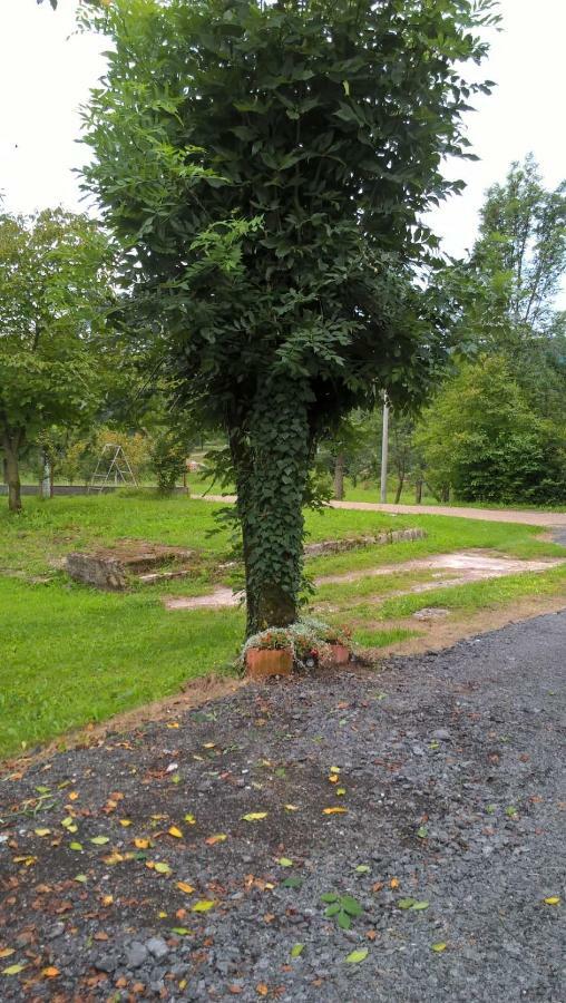 Apartman Adam Rakovica Dış mekan fotoğraf