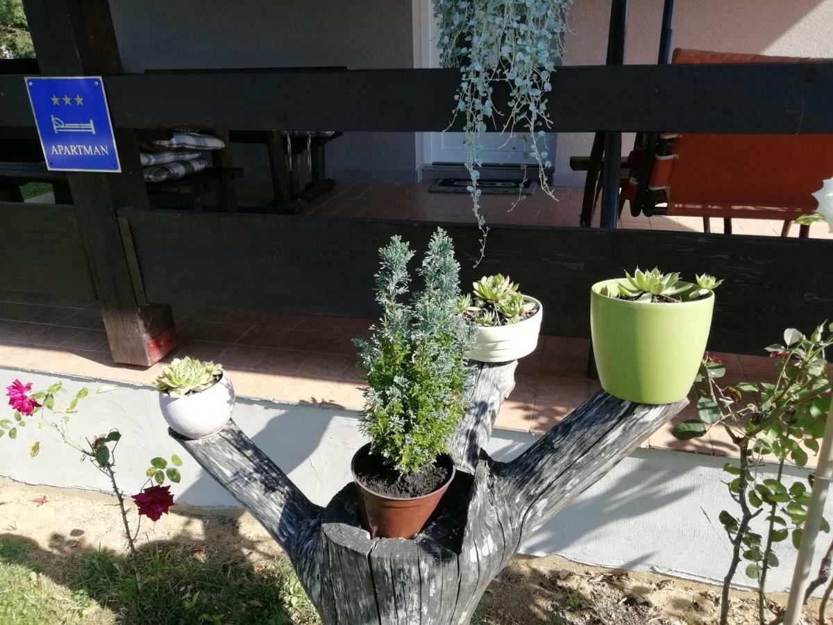 Apartman Adam Rakovica Dış mekan fotoğraf