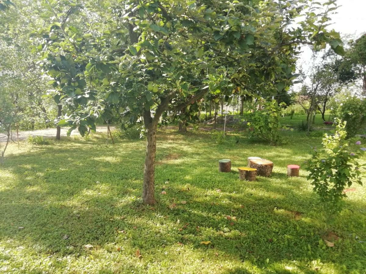 Apartman Adam Rakovica Dış mekan fotoğraf
