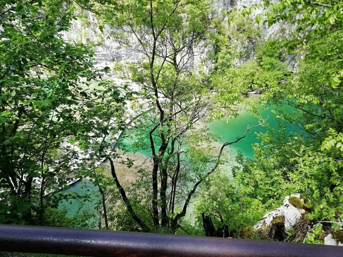 Apartman Adam Rakovica Dış mekan fotoğraf